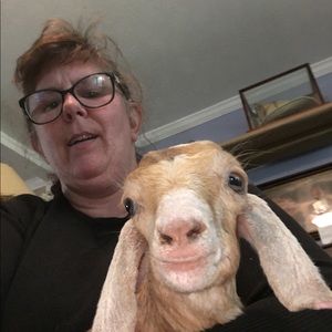 Meet your Posher, Tammy